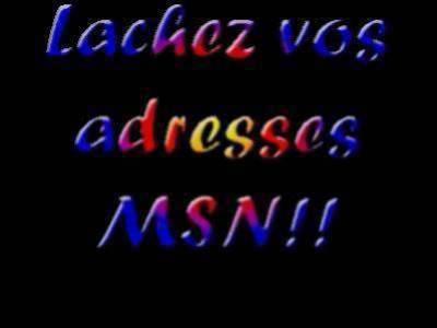 ton msn svp